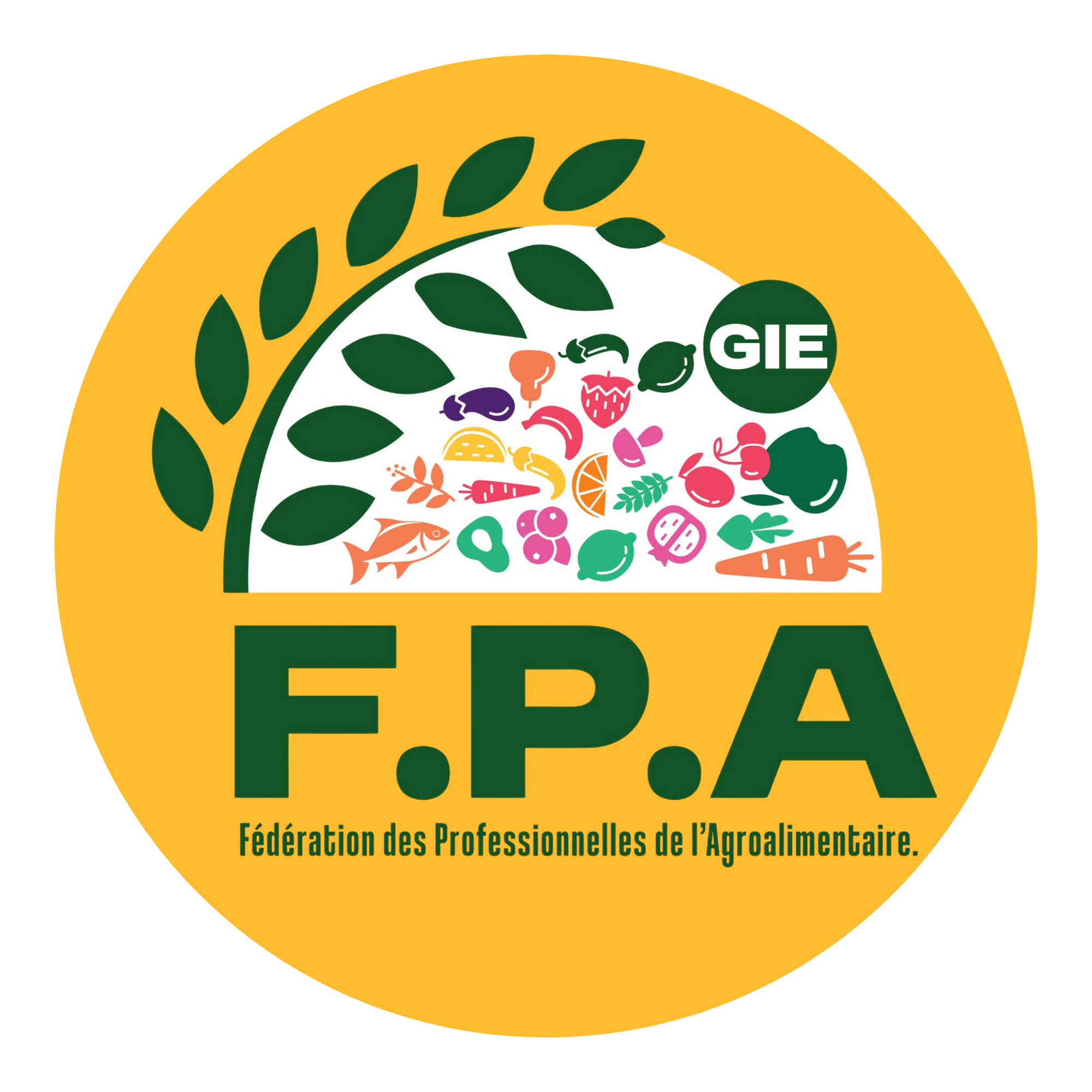 Partenaire 4